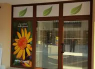 decorazione vetrina