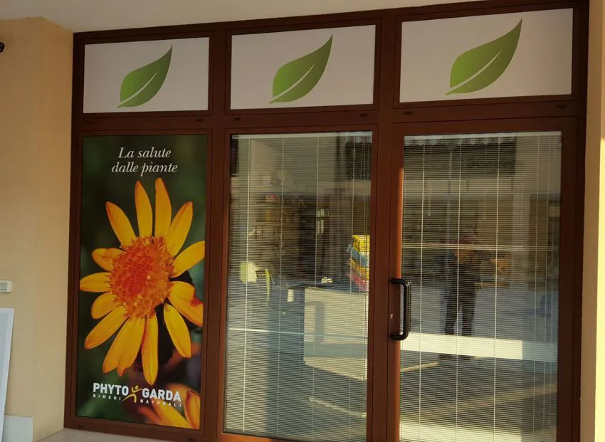 decorazione vetrina
